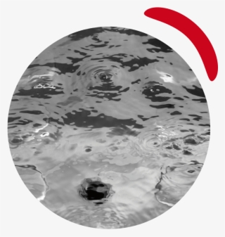 The Secret Behind The Induced Maturation© Has To Do - Circle