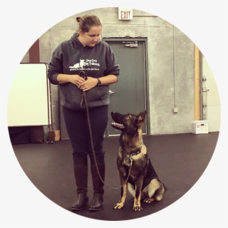 At Day School, Dogs Learn Even Faster With Skilled - Companion Dog