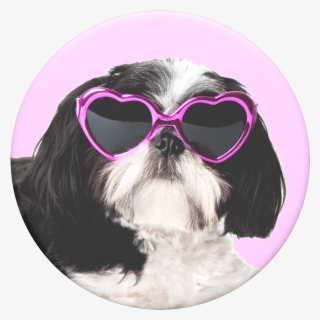 Sassy Shih Tzu, Popsockets - Shih Tzu