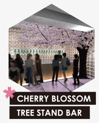 A Stand Bar With A Tall Sakura Tree Rises In The Middle - Keep Calm And Blog