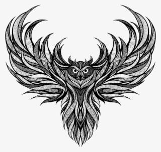 1000 X 922 4 - Andreas Preis Owl