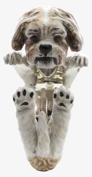 Shih Tzu Hug Ring - Dog Catches Something
