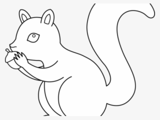 Gray Squirrel Clipart Nut - Drawing