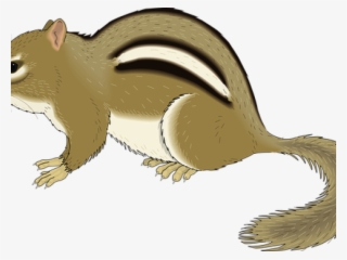 Chipmunk Clip Art