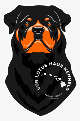 Rottweiler Png