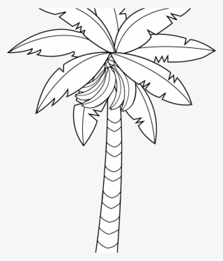 Banana Tree Drawing Outstanding Vector Hand Of In Large - Coloring Book