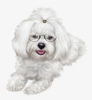 Puppy Clipart Maltipoo - Christmas Puppy Images Clipart