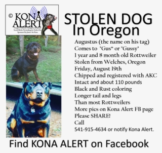 Carlisle College - Ancient Dog Breeds