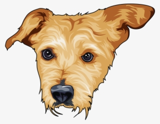 2614 X 2860 3 - Airedale Terrier