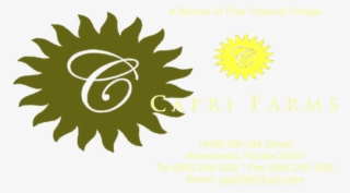 Cropped 600 Full Sun Header For Website Fotoflexer - Logo De Precio De Oferta