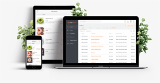 Leaves - Web Design