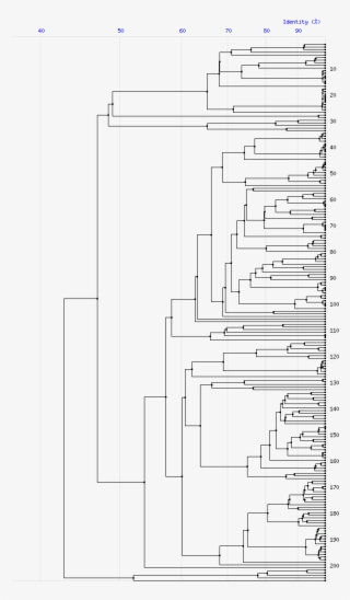 Tree For Family S6 - Diagram