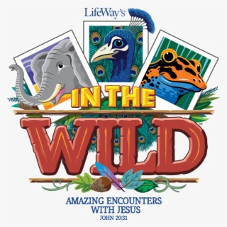 4c Marketing - Wild Vbs Clip Art