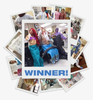 Collage Of Entry Pictures With The Winning Photo In - Lab Week Lab Coat Decorating