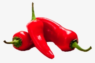 Pepper Download Free Png - Lal Marcha