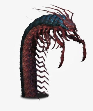 654 X 727 5 - Giant Centipede Witcher 3