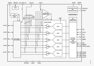 It's Been Designed To Measure Electro Cardiac Signals - Diagram