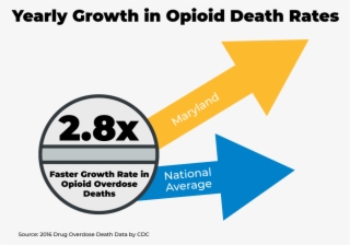 Website-increase - Something Special