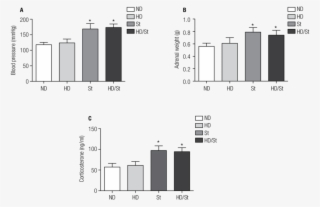 Effects Of A High-fat Diet And Chronic Stress Of Immobilization - Diagram