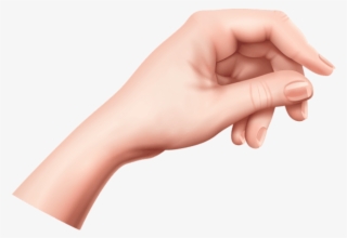 Free Png Hand Png Images Transparent - Human Leg