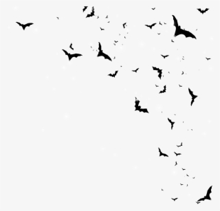 Bats Png