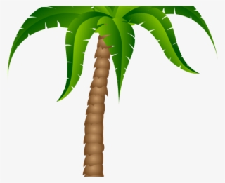 Christmas Lights Clipart Palm Tree - Cartoon Palm Tree Transparent Background