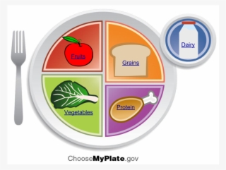 Building A Healthy Plate - Circle