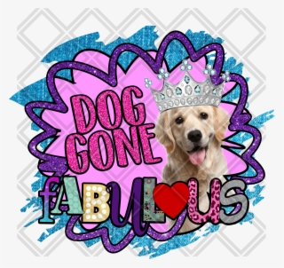 Dog Catches Something