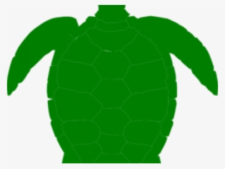 Sea Turtle Clipart Pond Turtle - Turtle