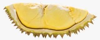 Durian Png - Durian