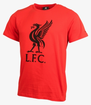 Liverpool Fc Mens Graphic Logo T-shirt - Liverpool Fc