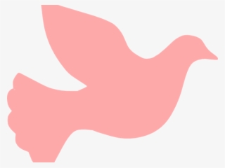 Dove Clipart Pink - Dove