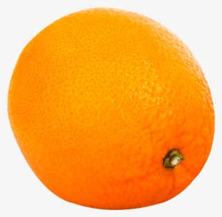 Download Orange Fruit Png Image - Citrus Orange