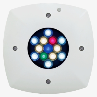 Ai Prime Freshwater Light