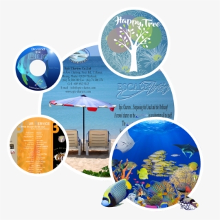 Soap Suds Homeschool - Cd