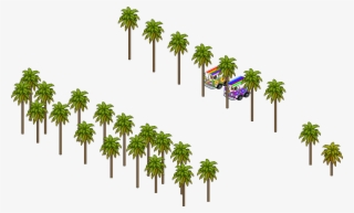 Palmtree - Animation