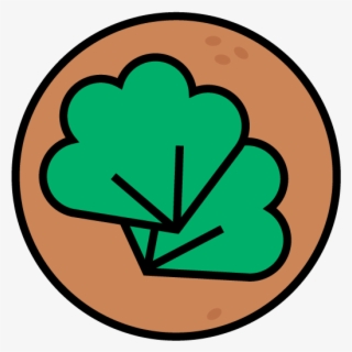 Feedback Wrap 2 Observations - Emblem