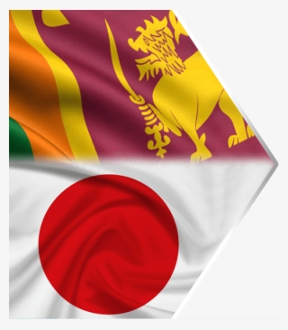 Sri Lanka Automobile Association In Japan Image - Sri Lanka Cricket Team Flag
