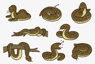 Anaconda Cartoon Vector - Anaconda Animadas Png