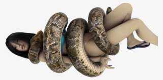 Snake Giant Anaconda Digital Art - Anaconda Snake Png