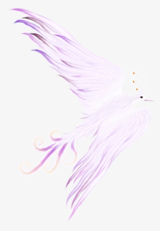 Bleed Area May Not Be Visible - Illustration