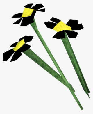 Black Flowers - Black Flower Runescape