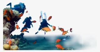 44 Pm 167050 Drnuke Overlay Stationary 01 9/30/2016 - Illustration