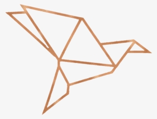 A Few Options - Rose Gold Triangle Transparent