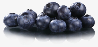 Las Frutas Y Verduras Deshidratadas Por El Método De - Bilberry