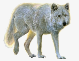 Animals Png For Photoshop