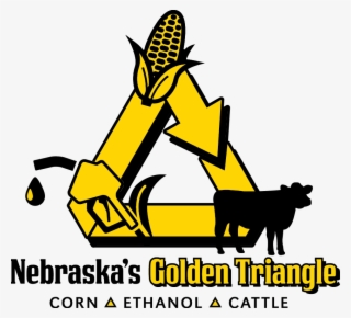 Nebraska Corn Kernels