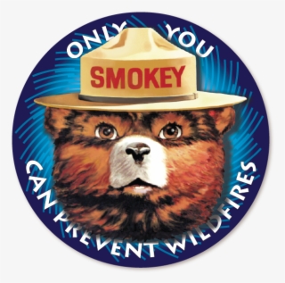 Additional Information - Smokey The Bear