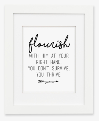 Calligraphy