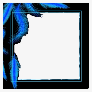 Frame Remixed Blue Black Feathers - Graphic Design